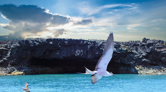 大倉島、姑婆嶼、漁家料理、水上樂園一日遊