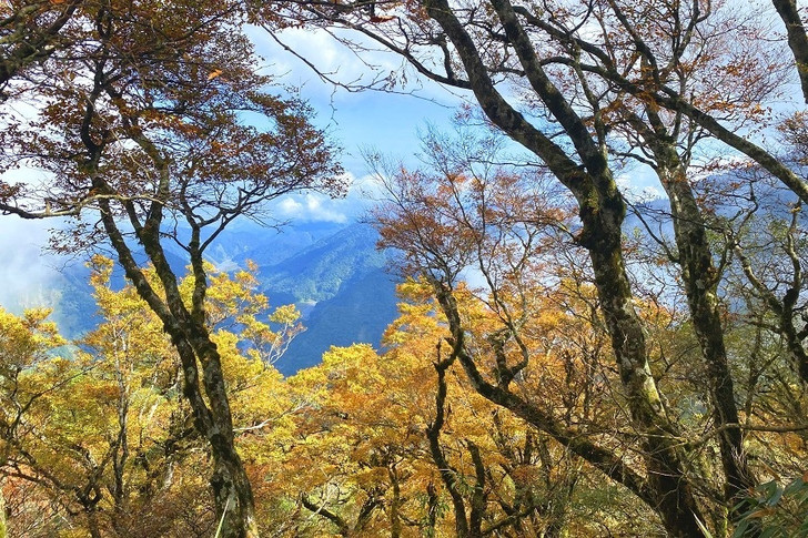 景點照片
