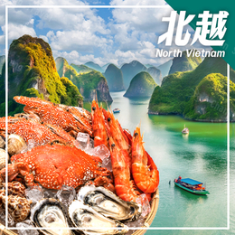 小資遊越南~米其林美饌+無限量海鮮吃到飽.雙龍灣華閭古都5日《不二價.無自由活動日.無購物行程》
