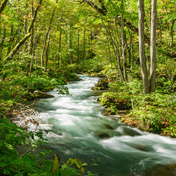 【經典東北５日】奧入瀨溪、銀山溫泉、角館漫步、平安和服、秋田鐵道[含稅簽]