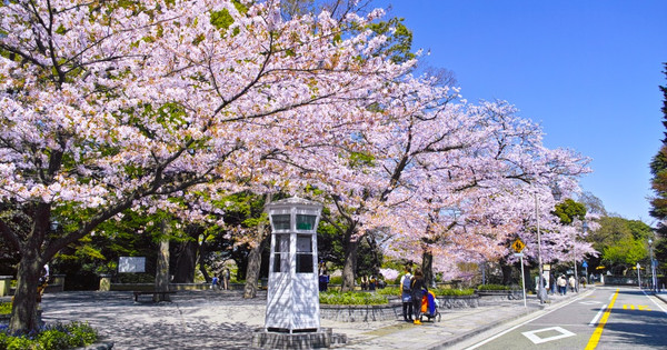 元町公園旅遊指南 | 熱門景點資訊、交通地圖 | ezTravel易遊網