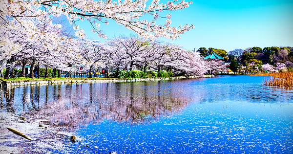 上野公園旅遊指南 熱門景點資訊 交通地圖 Eztravel易遊網