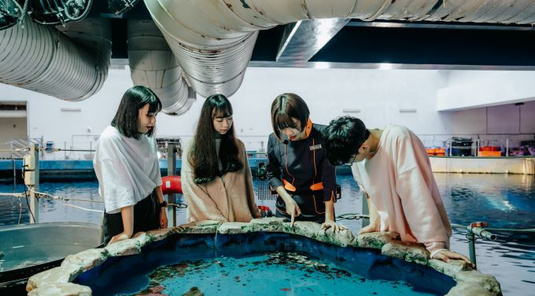 墾丁夜宿海生館+台東南迴海景+花蓮蝴蝶谷泡湯4天