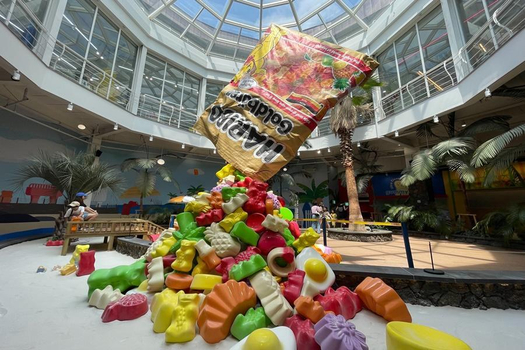 【濟州好好玩】史努比&小熊軟糖、山茶花之丘、足浴體驗、探訪海女村5日(一站彩妝)