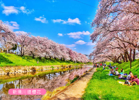 國泰春櫻飛舞北陸雙溫泉5日.足羽川隧道.長良川鐵道.一乘谷朝倉氏遺跡.金箔冰淇淋.百十郎櫻花.合掌村.下呂溫泉