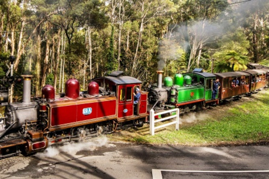 東澳黃金雪墨～藍山國家公園、雪梨印象港灣、神仙企鵝歸巢、天堂鄉農莊遊九日