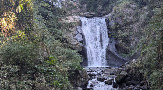 【新北】烏來德拉楠露營