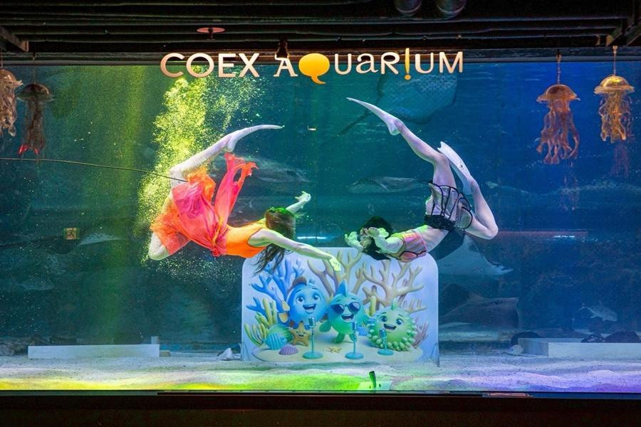 【韓國限量11999元】夢幻水族館.韓服遊古宮.秘境植物園.塗鴉秀5日(BR160)