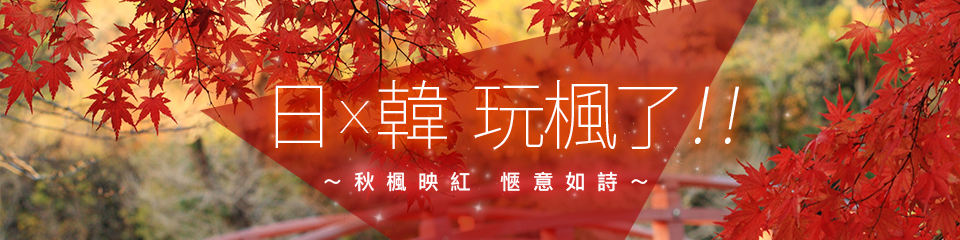 topic-banner