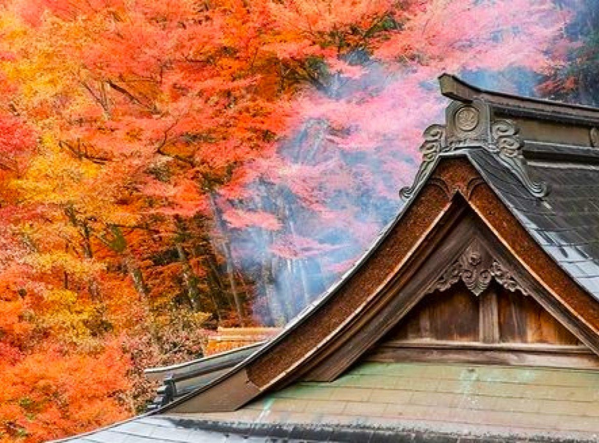 追楓早鳥省♯【楓迷山陰】紅葉神社．打吹公園．出雲大社．鳥取砂丘．足立美術館．大山牛奶牧場．燒肉吃到飽．名湯溫泉4天(不進免稅店)