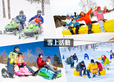 易起FUN寒假♯雪舞夢幻北海道三溫泉5日.雪上活動戲雪7合1.百萬夜景函館山.浪漫小樽.洞爺彩燈.螃蟹海鮮啤酒暢飲