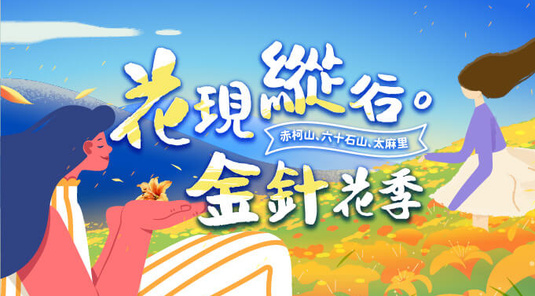 🏵️金針花海 縱谷忘憂之旅