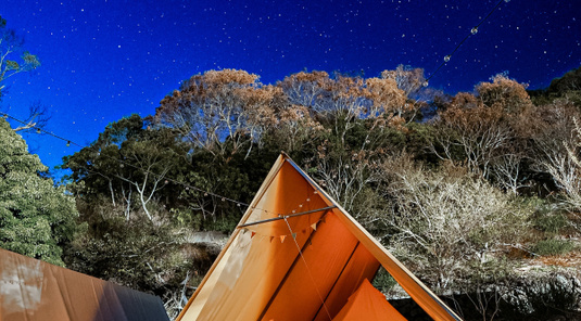 【台中】蟬說:山中靜靜