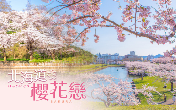 預約粉紅櫻花海♯北海道櫻花戀5日-櫻花隧道、夢幻星型五稜廓、洞爺直升機+下午茶、米其林星空夜景、企鵝漫步、洞爺花火船、海鮮和牛螃蟹吃到飽
