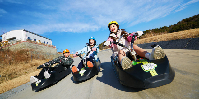 【不進人蔘保肝．釜山嗨翻天５日】LUGE滑車、樂天世界、海濱列車、鐵道自行車、塗鴉秀[含稅]