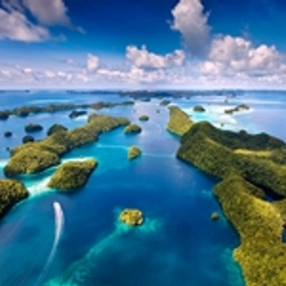 最愛帛琉~精選4日【二天出海浮潛、牛奶湖、鯊魚城、藍色珊瑚礁、干貝城、水母湖】