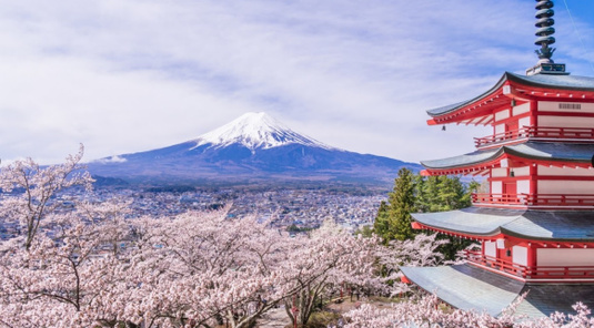 【日本】富士山淺間公園+大石公園+西湖根場一日遊