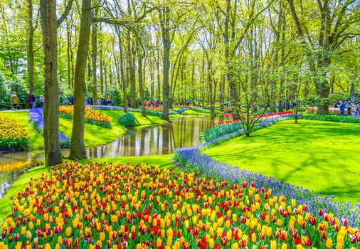 晚鳥限時搶♯花現荷比法１０天～三遊船、羊角村庫肯霍夫、巴黎賞櫻美食巴士市區三晚