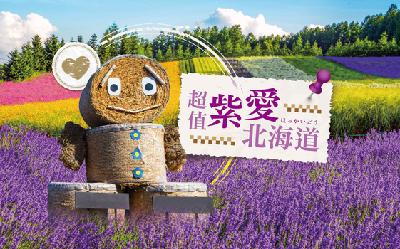 暑假揪團超省♯超值紫愛北海道5日-紫彩美瑛、花田列車、企鵝漫步、卡哇伊熊牧場、函館星空夜景、洞爺花火、螃蟹懷石、啤酒暢飲