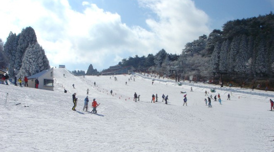 兵庫。六甲山+有馬溫泉｜滑雪戲雪