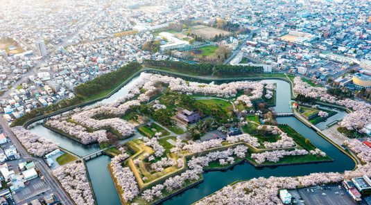 【北海道包車】朝市/夜景/五稜郭一日(函館出發)