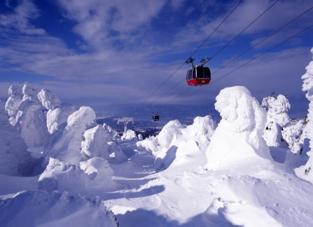 冬戀東北~會津鐵道、藏王樹冰纜車、雪中採草莓5日