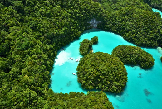 易起FUN寒假♯帛琉 愛萊森林度假村 AIRAI FOREST VILLA 海洋帛覽會 4天(2人成行)