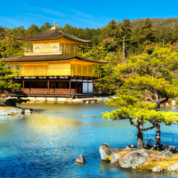 【易遊嚴選】星宇航空.關西四都6天.京都清水寺.金閣寺.嵐山渡月橋.千本鳥居.奈良梅花鹿.東大寺.神戶夜景.2天自由活動