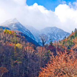 早鳥優惠♯【楓花雪岳北海道】秋日富良野.大雪山黑岳纜車.層雲峽銀瀑.旭山動物園.白色戀人.三大蟹吃到飽5日（台中出發）