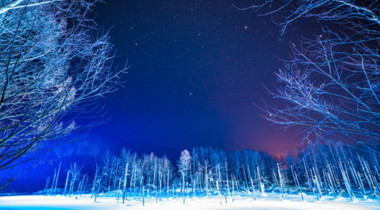 旭山動物園+美瑛一日遊
