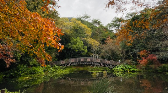 南投毓繡美術館+百岳石門山特色擺夷餐 2天