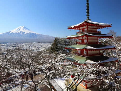 東京輕旅行 ~鎌倉箱根螃蟹湯樂5日(成田/成田)新倉富士淺間神社、麗莎＆卡斯柏小鎮、御殿場OUTLET