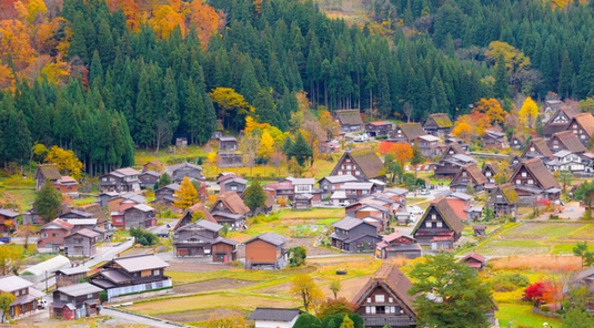 白川鄉合掌村