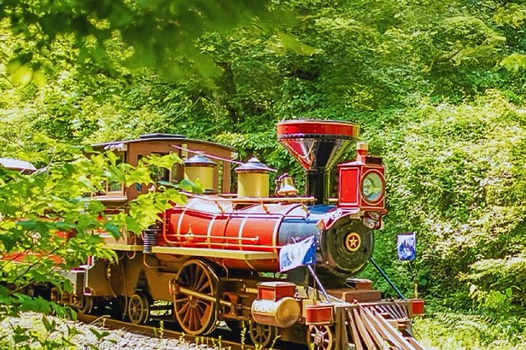 易起FUN寒假♯享戀濟洲超值遊五天《不走人蔘+保肝》英式森林小火車、城山日出峰、騎駱駝體驗、可口可樂觀海咖啡廳【高雄德威】