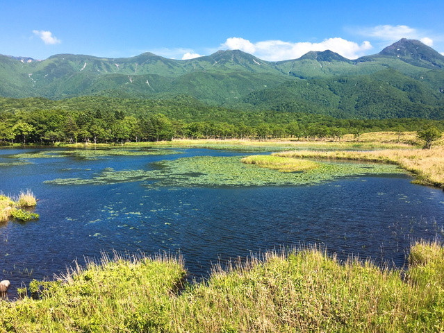 夏旅壓軸快閃♯北海道道東秘境花見之旅5日(千歲/千歲)