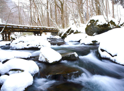 第二人半價【東北清艙特惠】奧入瀨溪流．銀山溫泉．中尊寺．松島遊船．燒肉吃到飽．升等雙溫泉 5天