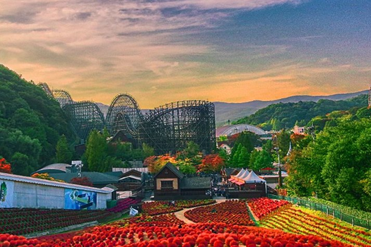 【Aero K易起飛.清鬆玩韓國5日】不進蔘肝、世界級愛寶樂園、最美星空圖書館、世界遺產水原華城、廣藏市場尋美味、精彩新塗鴉秀、明洞自由逛街