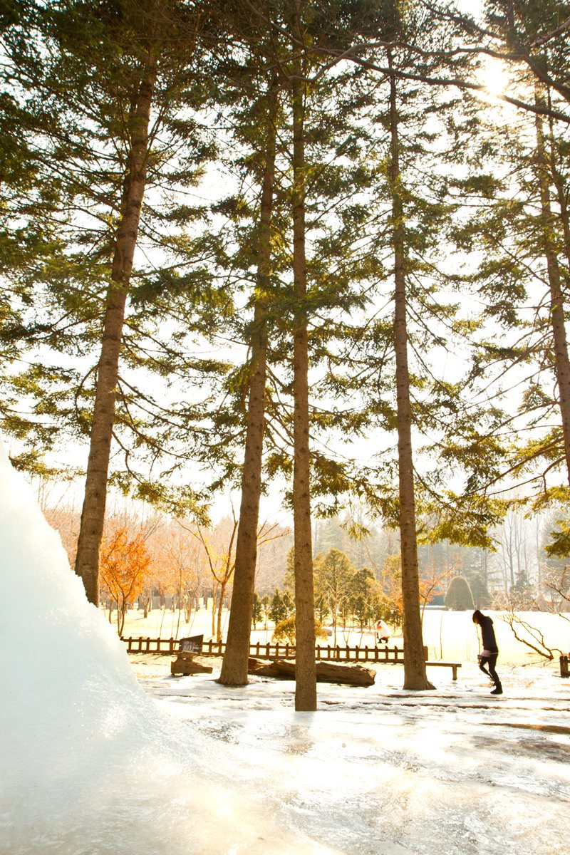《購物一站》《購物一站》冰雪韓國5日~首爾鬧區住2晚、入住雪場、全日滑雪、樂天雙主題、汗蒸幕、半日自由活動【華航】