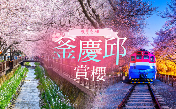 預約粉紅櫻花季♯釜慶邱花漾春櫻全覽5日〈彩妝一站〉-鎮海櫻花名所、大邱賞櫻壽城池+E WORLD、慶州賞櫻普門湖+佛國寺、豪華遊艇