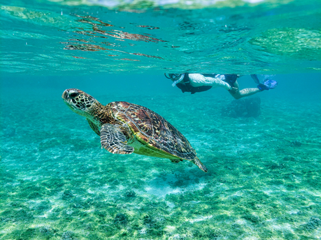 易遊嚴選~ 星宇航空．秘境宮古島4天~贈一晚住宿（2人成行）