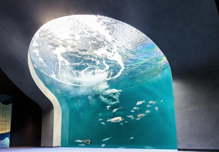 夏日即食行樂♯星宇四國陸海空５天～四國水族館、金魚塔瀨戶內海、大步危清流船、莫內睡蓮、巑岐美食
