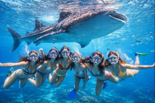 【新品推薦】【６人成行．宿霧超值小資４日】歐斯陸住１晚、鯨鯊共游、墨寶浮潛、贈市區觀光[含稅]