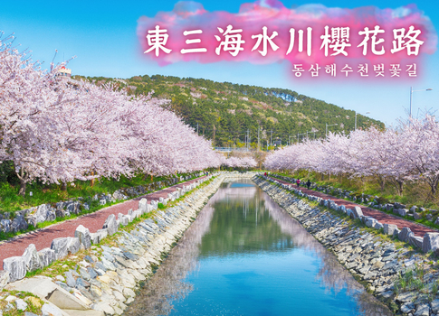 預約粉紅櫻花季♯<春季限定>漫遊釜山賞粉櫻5日(彩妝1站)鎮海軍港節.影島東三海水川櫻花路.絕美夜景.入住2晚市區商務+2晚市區四星