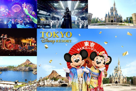 【特選關東】迪士尼・大湧谷・忍野八海・晴空塔・敘敘苑燒肉・溫泉5日