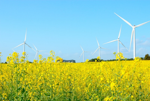 易起FUN寒假♯中虎享樂玩遊濟4天(不走人蔘保肝)泰迪熊野生動物王國、海水溫泉汗蒸幕、跆拳武藝秀、森林英式小火車【台中虎航包機】
