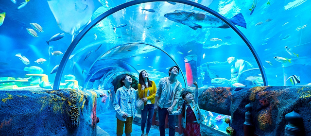 易遊嚴選~星宇大阪名古屋雙樂園．環球影城．樂高樂園+水族館．奈良梅花鹿．京都清水寺．嵐山渡月橋5天