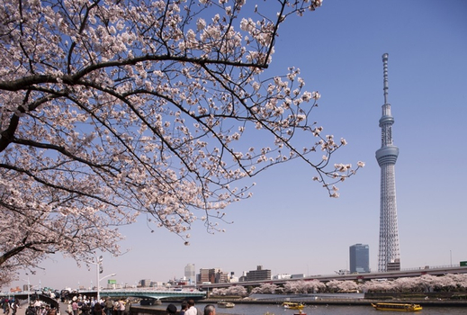 週七狂歡日♯超值東京|東京迪士尼樂園.澀谷宮下公園.雷門淺草寺.半自助五日