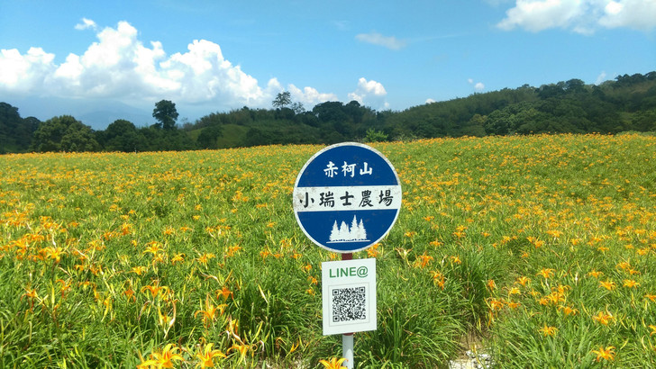 景點照片