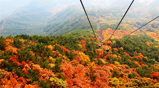 釜山秘境秋紅賞楓５日遊(不進人蔘保肝)
