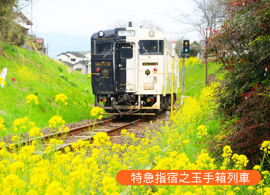 南北九州雙列車5日.指宿玉手箱.旅人列車.櫻島渡輪.仙巖園兩棒餅.霧島神宮.鹿兒島花卉公園.砂浴體驗(鹿兒島進福岡出)